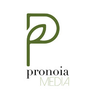 Pronoia Media logo - Similar company to Grip:Seven