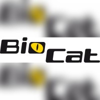 BioCat GmbH (part of AddLife) logo - Similar company to Bio-Connect Bv