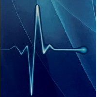 Pulse International Advisory logo - Similar company to Lead Wise