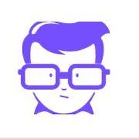 Vie de dingue logo - Similar company to Jacques Prevot Artifices