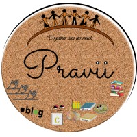 pravii Technologies and Industry solutions logo - Similar company to Icube Academics Pvt Ltd