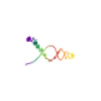 Precise Health Solutions logo - Similar company to Precise Health