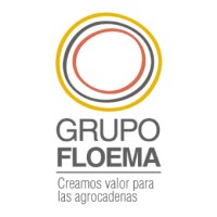 Grupo Floema logo - Similar company to Ingeniería Y Ciencias Agrarias Uca