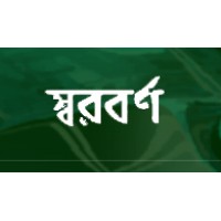 Shorborno Holdings logo - Similar company to Dns Software