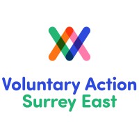 Voluntary Action Surrey East VASE logo - Similar company to Voluntary Action Reigate & Banstead (Varb)