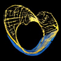 ONUS Social Enterprise logo - Similar company to Opensight Ltd