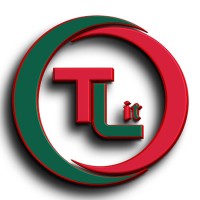 Top Lead IT logo - Similar company to Netsafe Ag