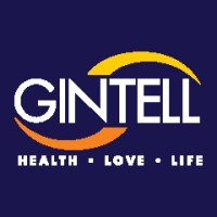 Gintell Vietnam logo - Similar company to Anywhere Networks