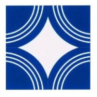 P.T. COLOR S.R.L. logo - Similar company to Fedeli Restauri