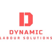 Dynamic Labour Solutions logo - Similar company to Oz Building And Construction Services