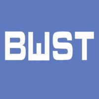 Book World Solution Tech logo - Similar company to Bwd Consulting