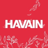 Havain logo - Similar company to M.Idea
