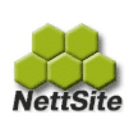 NettSite logo - Similar company to Technospeak