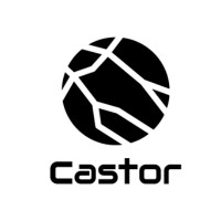 Castor logo - Similar company to Score Projects