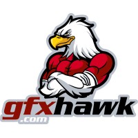 GFX Hawk logo - Similar company to The Supply Experts