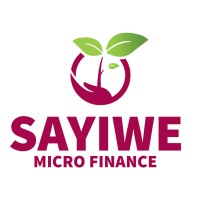 SAYIWE MICROFINANCE logo - Similar company to Dream Financial Services