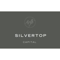 Silvertop Capital logo - Similar company to Naut