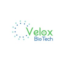 Velox Biotech logo - Similar company to Aurumcura Biotech Private Limited