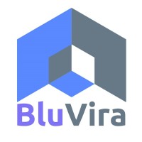 Bluvira digital marketing agency logo - Similar company to Sindad Network Technology