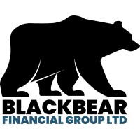 BlackBear Financial Group Ltd logo - Similar company to Trident Tax
