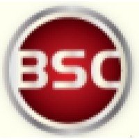 Business Strategy Consultants and Associates LLC