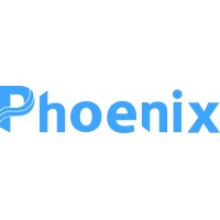 Phoenix Tech Consulting logo - Similar company to Phoenix Brand Management Group