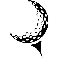 Nitelinx logo - Similar company to Wego Golf