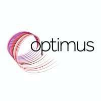 Optimus Group Ltd logo - Similar company to Workflow Capital Group