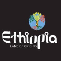 Visit Ethiopia logo - Similar company to Visit Ethiopia
