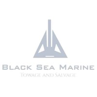 Black Sea Marine Towage & Salvage SRL logo - Similar company to Red Cap Marine & Salvage, Llc
