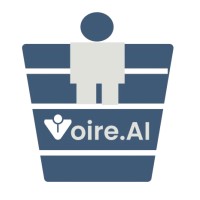 VoireAI logo - Similar company to Massconnect
