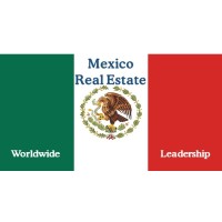 Mexico RE-SKY Worldwide Leadership logo - Similar company to Rho - Partners
