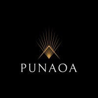 Punaoa Business Growth Programme logo - Similar company to Alphacert