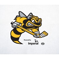 Sarnia Sting logo - Similar company to Redblacks