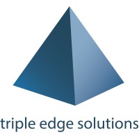 Triple Edge Solutions logo - Similar company to Netit
