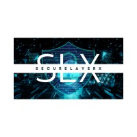 SecureLayerX logo - Similar company to Value Mentor
