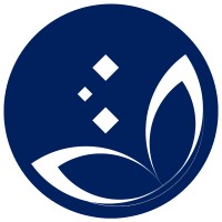 Tincorp International logo - Similar company to Nexasoft Sas