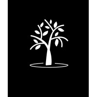 AmberAcademy logo - Similar company to Ambersoft