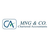 MNG & Co (India) logo - Similar company to Technoraft