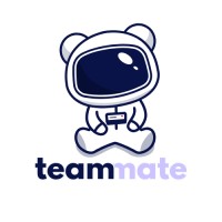 Team mate logo - Similar company to Hullop Solutions