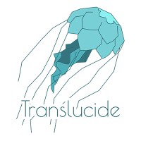Translucide logo - Similar company to Light. Communication (Scop)