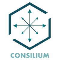 CONSILIUM logo - Similar company to Mpi Conception