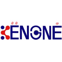 Kengne Corporation logo - Similar company to Thicklabel