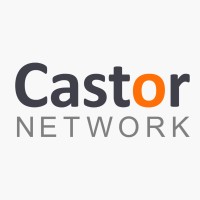 Castor Network logo - Similar company to Expert Communications Ltd