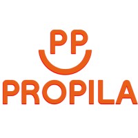 ProPila IT Services logo - Similar company to Medex Technology