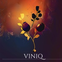 VINIQ logo - Similar company to Domaine Torredemer-Mangin