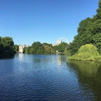 London Wlogger