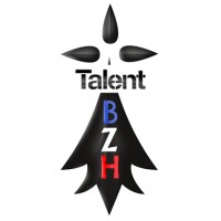 Talent BZH Organisation logo - Similar company to Talents