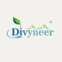 DIVYNEER INDUSTRY logo - Similar company to The Creative Orbit