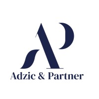 Adzic & Partner logo - Similar company to Df Consulting Llc